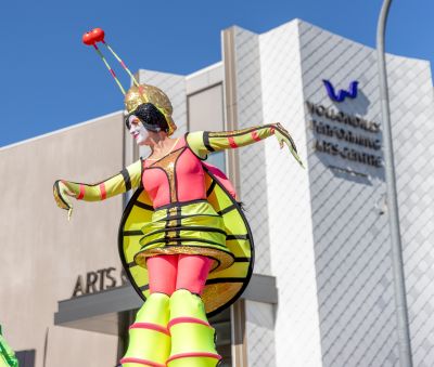 Wollondilly Business Chamber announces funding for Picton ALIVE
