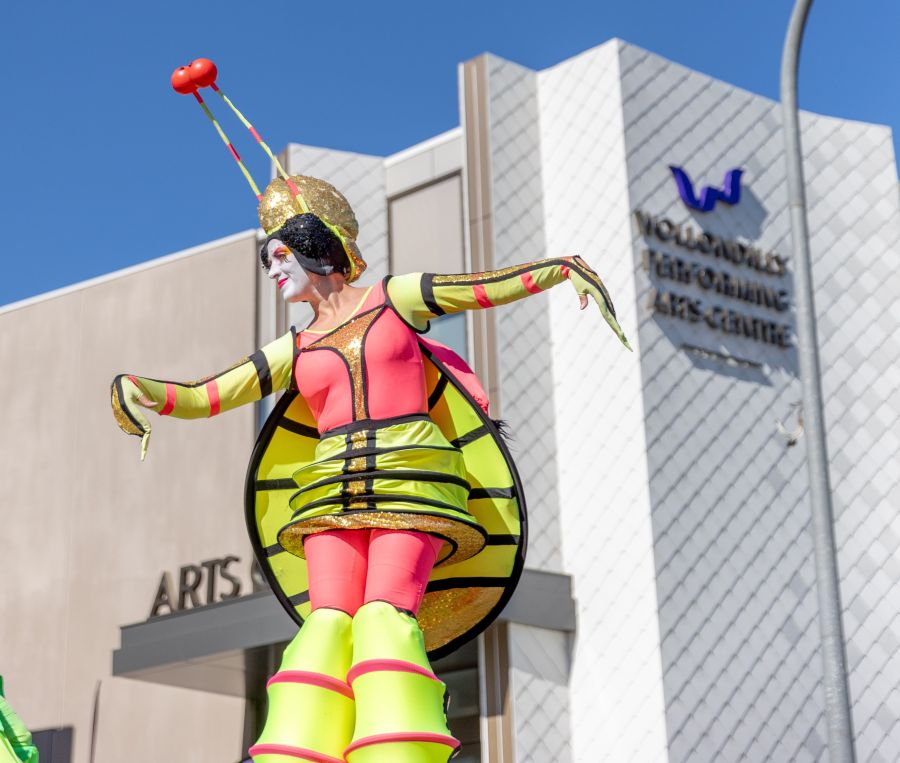 Wollondilly Business Chamber announces funding for Picton ALIVE