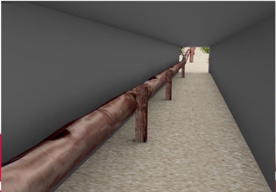 Safer passage for koalas with new Appin Road underpass