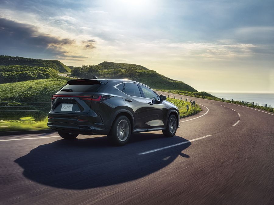 TURBO-PETROL, HYBRID AND PHEV POWER