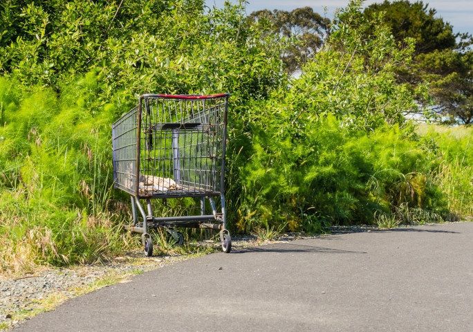 NEW ACT ALLOWS IMPOUNDING